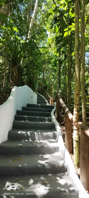 Passagens pelo verde