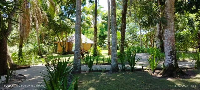 Sombra e sossego