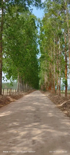 Caminhos que surpreendem